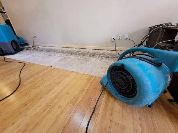 Professional Water Damage Repair technician working in Guys Mills, PA